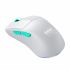 Mouse Fără Fir Cherry M64