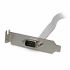 Adaptator Startech PLATE9M16LP          IDC DB9