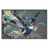 Monitor Videowall Philips 75BDL3511Q/00 LED 4K Ultra HD 75