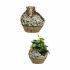 Figurină decorativă de grădină Ibergarden ZD19022 Polirășină Vază 28,5 x 28 x 28,5 cm (2 Unități)