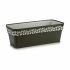 Jardinieră cu auto-udare Stefanplast Cloe Antracit Plastic 49,5 x 17 x 19 cm (12 Unități)