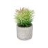 Plantă decorativă Ibergarden QY-H011 Lemn Plastic Цимент Suculent 12 x 22 x 12 cm (8 Unități)