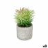 Plantă decorativă Ibergarden QY-H011 Lemn Plastic Цимент Suculent 12 x 22 x 12 cm (8 Unități)