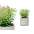 Plantă decorativă Ibergarden QY-H011 Lemn Plastic Цимент Suculent 12 x 22 x 12 cm (8 Unități)