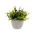 Plantă decorativă Ibergarden QY-H022 Plastic Květiny 21 x 20,6 x 21 cm (8 Unități)