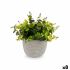Plantă decorativă Ibergarden QY-H022 Plastic Květiny 21 x 20,6 x 21 cm (8 Unități)