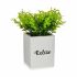 Plantă decorativă Ibergarden HY2-39 Plastic Цимент Frunze Mic 13 x 18 x 13 cm (6 Unități)