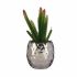 Plantă decorativă Ibergarden HY2-44 Ceramică Plastic Cactus 10 x 20 x 10 cm (6 Unități)