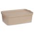 Cutie de depozitare cu capac Kipit TP595-3 Bej Plastic 14 L 29,5 x 14,5 x 45 cm (12 Unități)