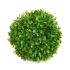 Plantă decorativă Ibergarden 552 Plastic Míč 17 x 13,5 x 17 cm (12 Unități)