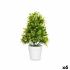 Plantă decorativă Ibergarden 547 Plastic 18 x 35 x 16 cm (6 Unități)