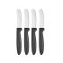 Set de Cuțite Kinvara CN-KT172244E Negru Argintiu Oțel inoxidabil Plastic 17 cm (12 Unități)