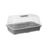 Seră Ibergarden FYT2058102 Gri Transparent Plastic 38,4 x 17,5 x 24,7 cm (8 Unități)