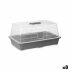Seră Ibergarden FYT2058102 Gri Transparent Plastic 38,4 x 17,5 x 24,7 cm (8 Unități)