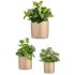 Set de ghivece Ibergarden CILINDRO-1019 Bej Argilă Cilindru Ø 14 cm Ø 22 cm Ø 17 cm 3 Piese