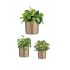 Set de ghivece Ibergarden CILINDRO-7006 Gri Maroniu Argilă Cilindru Ø 14 cm Ø 22 cm Ø 17 cm 3 Piese