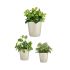 Set de ghivece Ibergarden CONICO-7044 Gri Argilă Cónica Ø 14 cm Ø 22 cm Ø 17 cm 3 Piese