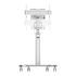 Suport TV Neomounts FL50S-825WH1 70 Kg